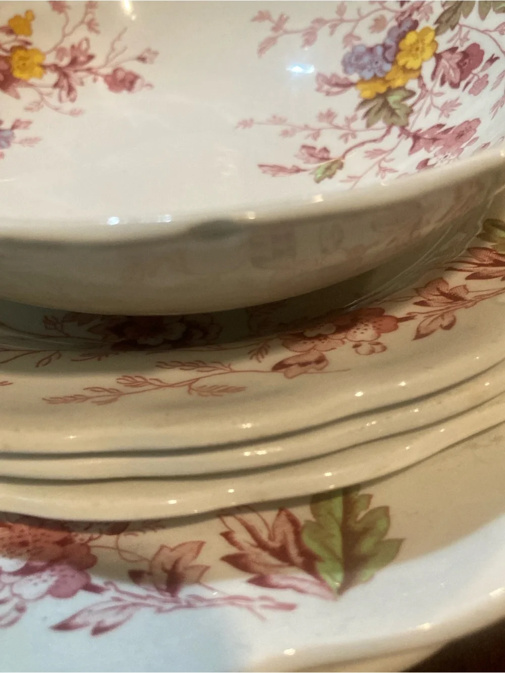 SR Ridgeway Ironstone Staffordshire England “ English Garden 6 piece set